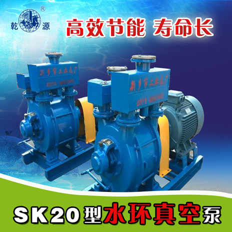 SK-20水环真空泵